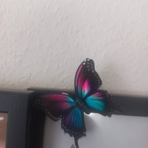 Tanja added a photo of their purchase