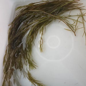 Vincent added a photo of their purchase