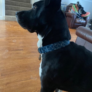 Bailey a ajouté une photo de son achat