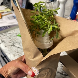 Ann added a photo of their purchase