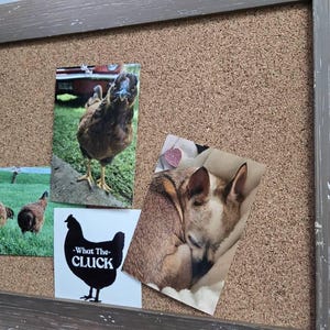 Ramona added a photo of their purchase