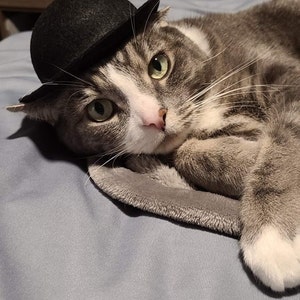 Ryan hat ein Foto des gekauften Artikels hinzugefügt
