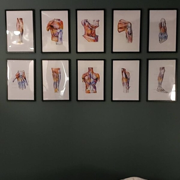 Set 24 Watercolor Anatomy Poster Muscular System Educational Art ...