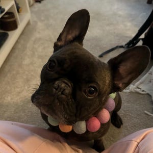 Ashley added a photo of their purchase