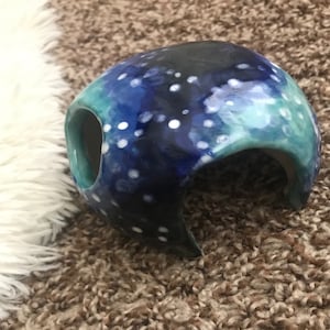 Brenda added a photo of their purchase