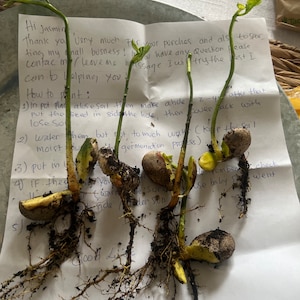 Inactive account added a photo of their purchase