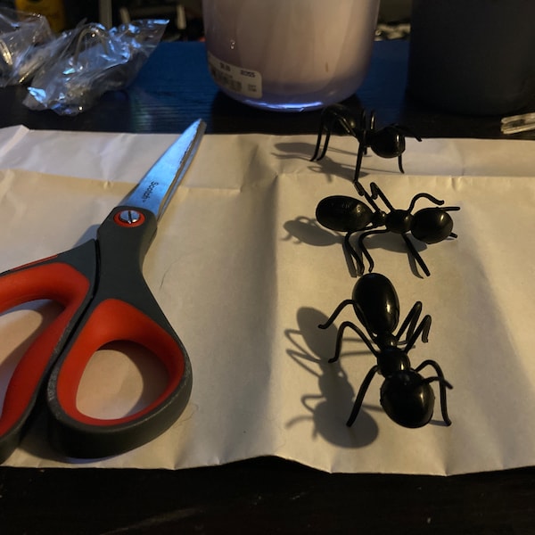 12 Large 3-D Ants, Plastic Ant Cupcake & Cake Toppers, Picnic Decor - Etsy