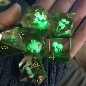 Beau adicionaram uma foto da sua compra