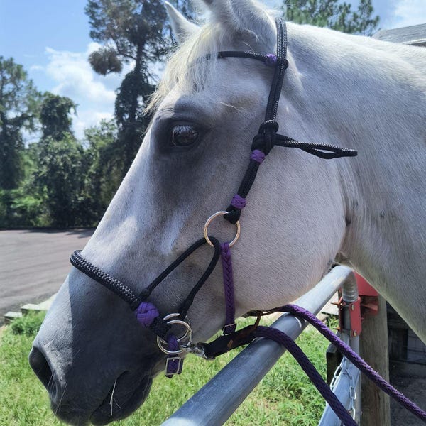 Thor Equine Sidepull Avec Muserolle Single Rope Naturel - Bride Cheval Cuir Premium