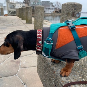 5280 dog harness sizing