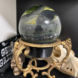 Alicia added a photo of their purchase