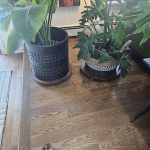 Renee さんが購入した商品の写真を追加しました