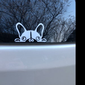 Holly added a photo of their purchase