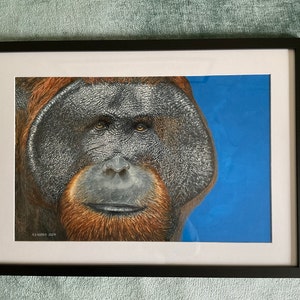 Michael added a photo of their purchase
