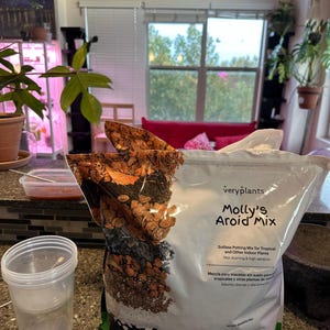 Antonio added a photo of their purchase