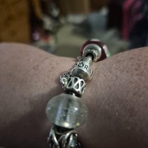 Ellen added a photo of their purchase