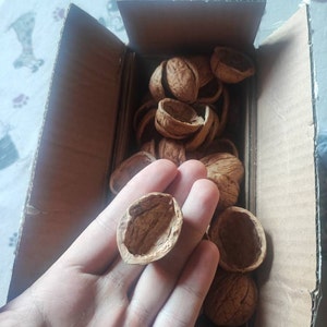 Matteo hat ein Foto des gekauften Artikels hinzugefügt