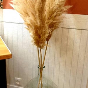 Joëlle added a photo of their purchase