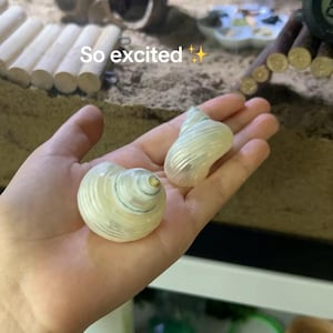 Izzy added a photo of their purchase