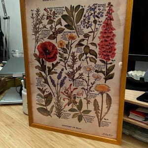 Ibby added a photo of their purchase