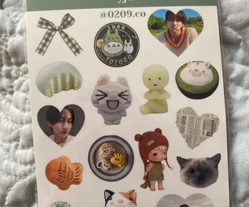 Jungwon Sticker Sheet- Enhypen Stickers, Kawaii, Kpop Bias, Journaling, Deco Stickers, Kpop Gift, Jungwon Bias, Lil Green Guy, Engene Gift