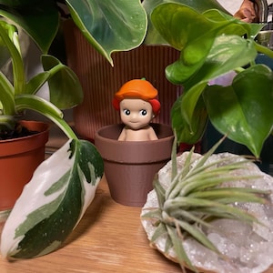 Samantha added a photo of their purchase