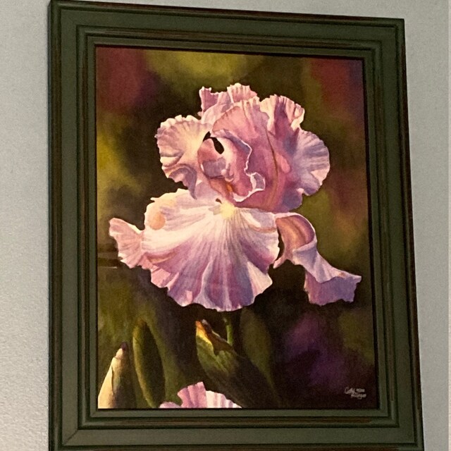 Purple Iris Art Watercolor Painting Print by Cathy Hillegas, 11x14