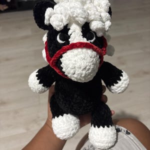 Shairaly added a photo of their purchase