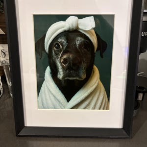 Diana heeft een foto van de aankoop toegevoegd