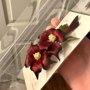 Lee added a photo of their purchase