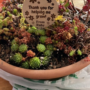 Nicola added a photo of their purchase
