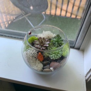 Cameron added a photo of their purchase