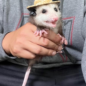 Arwin added a photo of their purchase