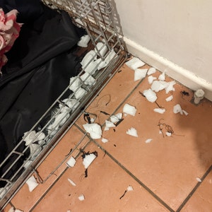 Sal added a photo of their purchase