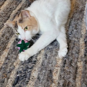 Barb ha añadido una foto de su compra