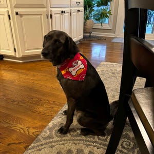 Angie added a photo of their purchase