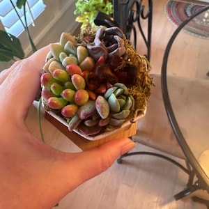 Mary added a photo of their purchase