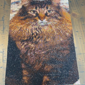 Tammy added a photo of their purchase
