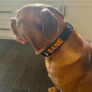 Amy added a photo of their purchase