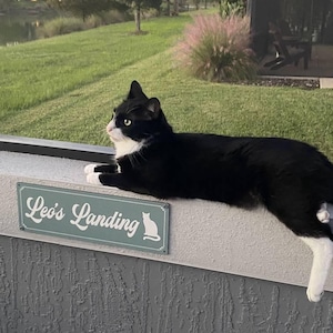 Lauren added a photo of their purchase