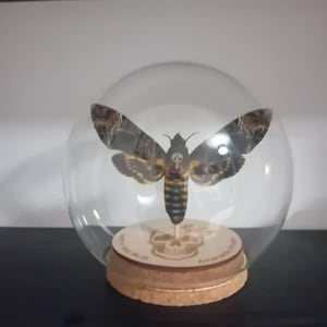 ryan added a photo of their purchase