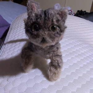 Shannon さんが購入した商品の写真を追加しました