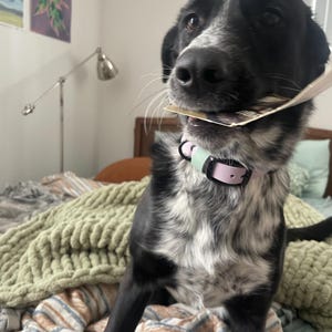 Olivia added a photo of their purchase