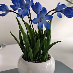 Atreyee added a photo of their purchase