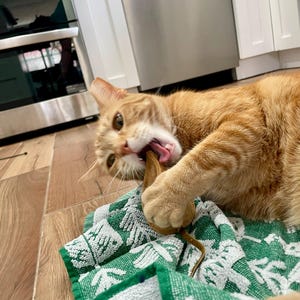 Erin ha añadido una foto de su compra