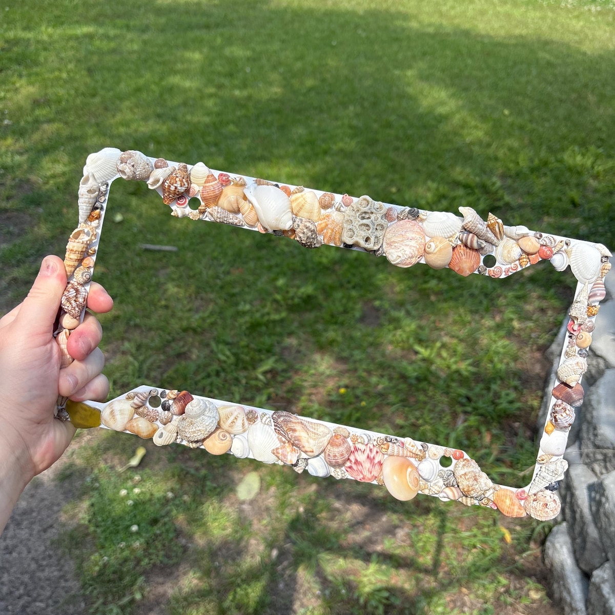 Seashell License Plate Frame