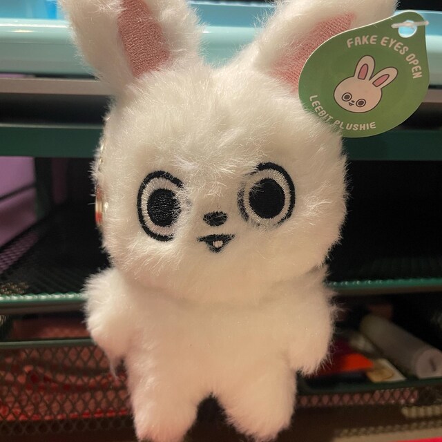 フェイクアイズオープン リービット ぬいぐるみ 予約販売 - Etsy 日本