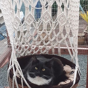 KIM added a photo of their purchase