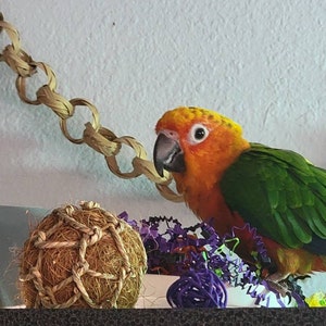 Effie added a photo of their purchase