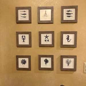 Dana a ajouté une photo de son achat
